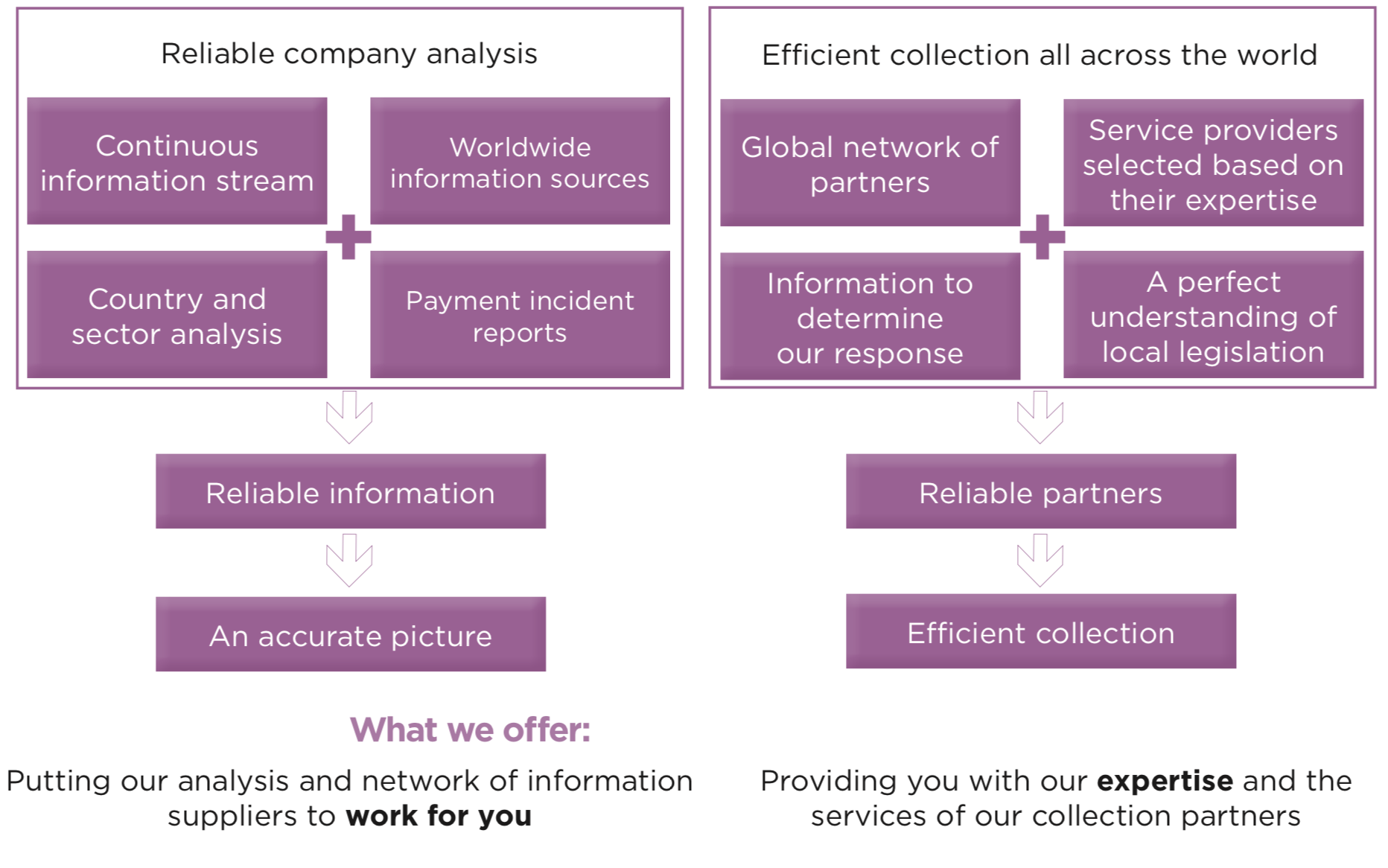What we offer: Putting our analysis and network of information suppliers to work for you