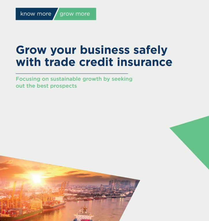 Grow your business safely with Trade Credit Insurance